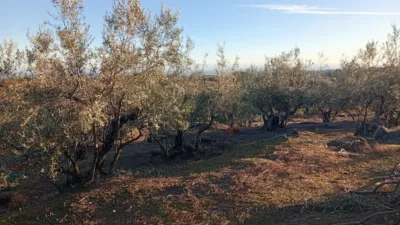 Rustic Finca in Villanueva de La Vera photo 11