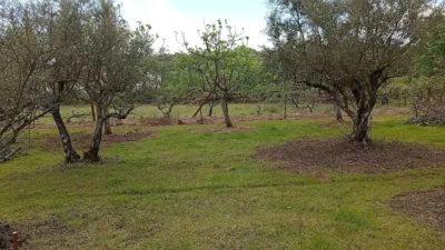 Finca rústica en Villanueva de La Vera photo 50