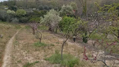 Rustic Finca in Villanueva de La Vera photo 54