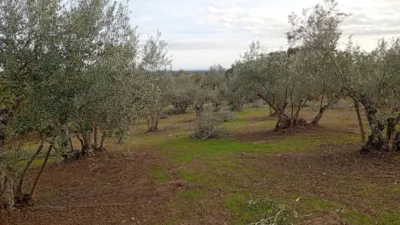 Rustic finca in Villanueva de La Vera photo 65