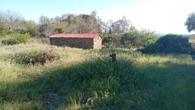 Finca rústica en Valverde de La Vera photo 17