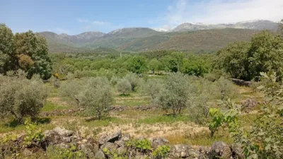 Rustic finca in Villanueva de La Vera photo 124