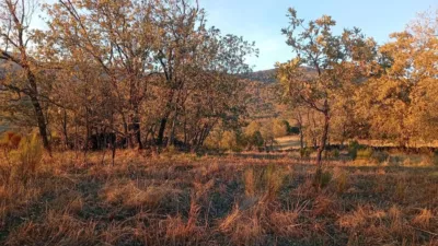 Rustic farm in Viandar de La Vera photo 2