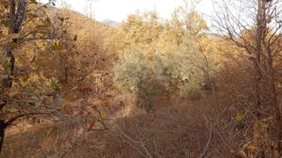 Rustic farm in Viandar de La Vera photo 33