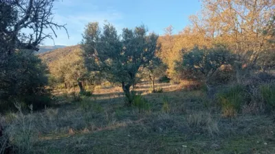 Rustic farm in Viandar de La Vera photo 26