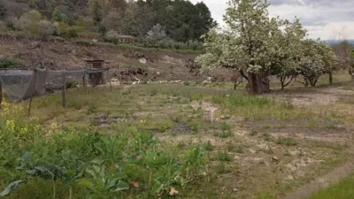 Rustic Finca in Villanueva de La Vera photo 24
