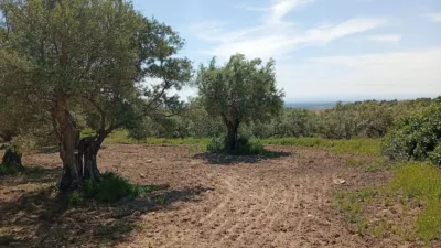 Rustic Finca in Villanueva de La Vera photo 32