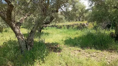 Rustic Finca in Villanueva de La Vera photo 81