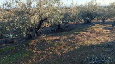 Rustic Finca in Villanueva de La Vera photo 71