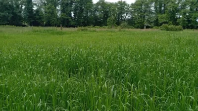 Rustic farm in Madrigal de La Vera photo 11
