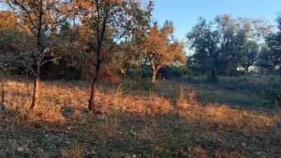 Rustic farm in Viandar de La Vera photo 12