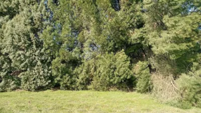 Rustic farm in Villanueva de La Vera photo 14