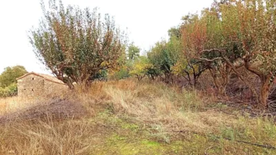 Rustic farm in Villanueva de La Vera photo 16