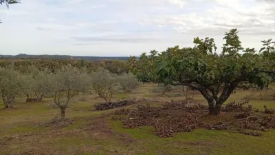 Rustic finca in Villanueva de La Vera photo 50