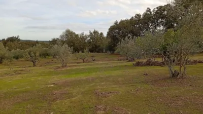 Rustic finca in Villanueva de La Vera photo 20