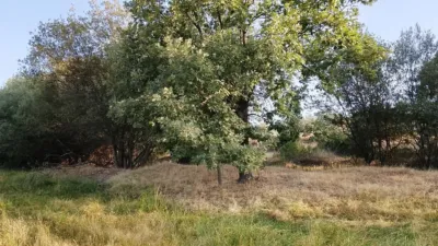 Rustic in Madrigal de La Vera photo 19