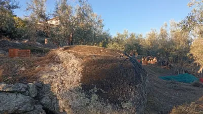 Rustic Finca in Villanueva de La Vera photo 46