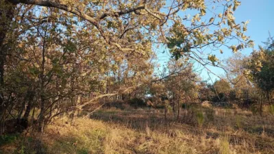 Rustic farm in Viandar de La Vera photo 32