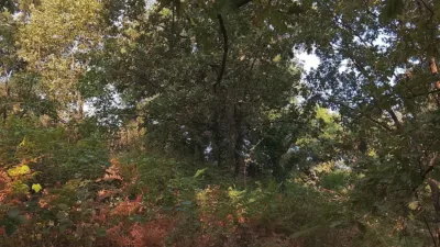 Rustic finca in Madrigal de La Vera photo 19