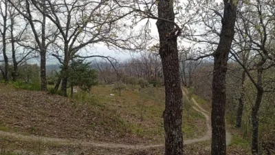 Rustic Finca in Valverde de La Vera photo 13