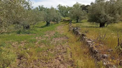 Rustic finca in Villanueva de La Vera photo 55
