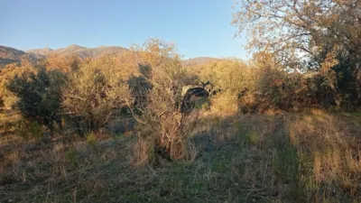 Rustic farm in Viandar de La Vera photo 23