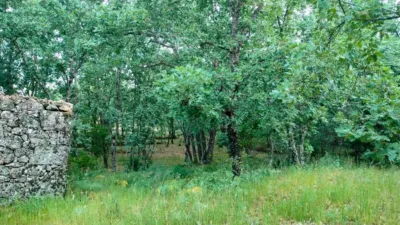 Rustic Finca in Villanueva de La Vera photo 3