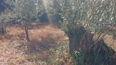 Rustic farm in Villanueva de La Vera photo 38