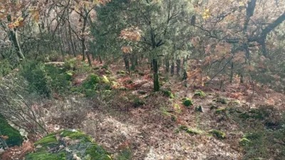 Rustic Finca in Villanueva de La Vera photo 22