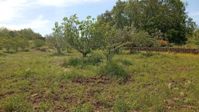 Rustic finca in Villanueva de La Vera photo 30