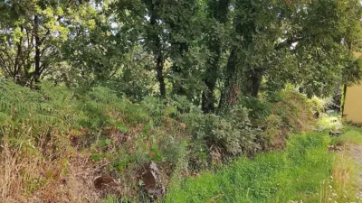 Rustic finca in Madrigal de La Vera photo 20