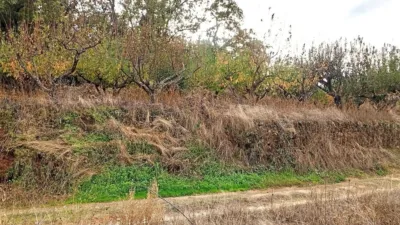 Rustic farm in Villanueva de La Vera photo 30