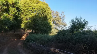 Rustic Finca in Villanueva de La Vera photo 13