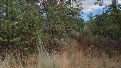 Rustic Finca in Villanueva de La Vera photo 42