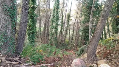 Rustic Finca in Viandar de La Vera photo 2