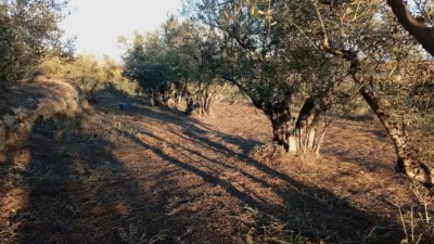 Rustic Finca in Villanueva de La Vera photo 50
