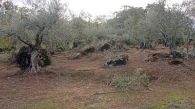 Rustic finca in Villanueva de La Vera photo 31