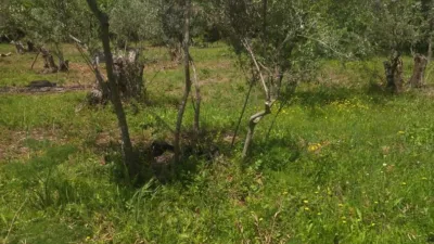 Rustic farm in Villanueva de La Vera photo 9