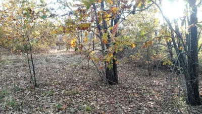 Rustic farm in Viandar de La Vera photo 26