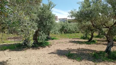 Rustic Finca in Villanueva de La Vera photo 39