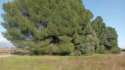 Rustic farm in Villanueva de La Vera photo 5