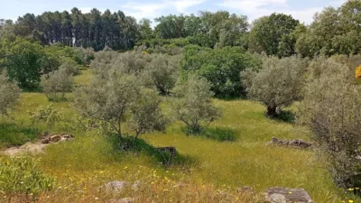 Rustic finca in Villanueva de La Vera photo 117