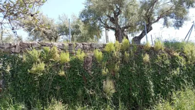 Rustic Finca in Villanueva de La Vera photo 68