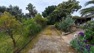 Chalet in Quijorna photo 4
