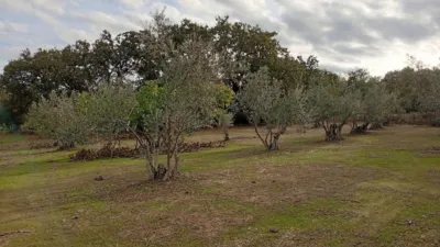 Rustic finca in Villanueva de La Vera photo 19