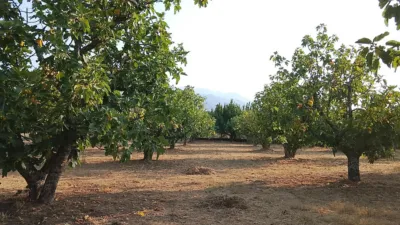 Rustic Finca in Madrigal de La Vera photo 4