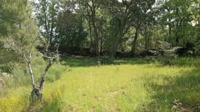 Rustic finca in Villanueva de La Vera photo 86