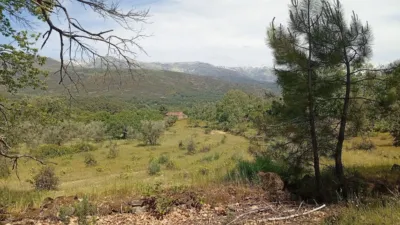 Rustic finca in Villanueva de La Vera photo 23
