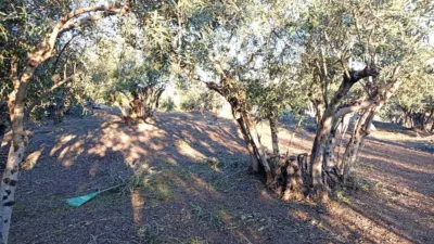 Rustic Finca in Villanueva de La Vera photo 58