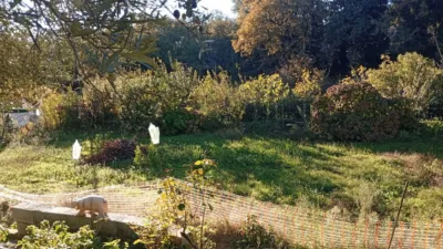 Rustic finca in Villanueva de La Vera photo 26